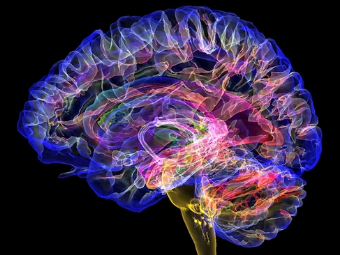色插插插播大脑植入物有助于严重头部损伤恢复